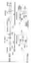 Fig. 13 - METHODS OF ANALYZING CHROMOSOMAL TRANSLOCATIONS USING FLUORESCENCE IN SITU HYBRIDIZATION (FISH)