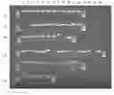 Fig. 01 - Compositions and Methods for Nucleic Acid Extraction from Biological Samples