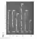 Fig. 02 - Compositions and Methods for Nucleic Acid Extraction from Biological Samples