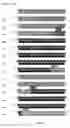 Fig. 04 - Compositions and methods for genetic analysis of polycystic kidney disease