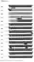 Fig. 14 - Compositions and methods for genetic analysis of polycystic kidney disease