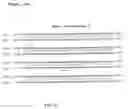 Fig. 33 - Compositions and methods for genetic analysis of polycystic kidney disease