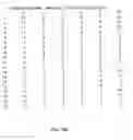 Fig. 49 - Compositions and methods for genetic analysis of polycystic kidney disease