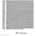 Fig. 09 - Polypeptides and polynucleotides encoding same