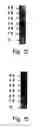 Fig. 33 - Polypeptides and polynucleotides encoding same