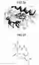 Fig. 35 - Ligand searching device, ligand searching method, program, and recording medium
