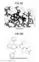 Fig. 42 - Ligand searching device, ligand searching method, program, and recording medium