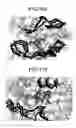 Fig. 65 - Ligand searching device, ligand searching method, program, and recording medium