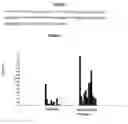 Fig. 03 - Protein isoforms and uses thereof