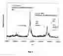 Fig. 09 - METHOD AND APPARATUS FOR MASS SPECTROMETRIC IMMUNOASSAY ANALYSIS OF SPECIFIC BIOLOGICAL FLUID PROTEINS