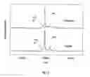 Fig. 12 - METHOD AND APPARATUS FOR MASS SPECTROMETRIC IMMUNOASSAY ANALYSIS OF SPECIFIC BIOLOGICAL FLUID PROTEINS