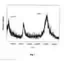 Fig. 06 - METHOD AND APPARATUS FOR MASS SPECTROMETRIC IMMUNOASSAY ANALYSIS OF SPECIFIC BIOLOGICAL FLUID PROTEINS