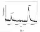 Fig. 11 - METHOD AND APPARATUS FOR MASS SPECTROMETRIC IMMUNOASSAY ANALYSIS OF SPECIFIC BIOLOGICAL FLUID PROTEINS