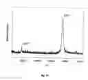Fig. 16 - METHOD AND APPARATUS FOR MASS SPECTROMETRIC IMMUNOASSAY ANALYSIS OF SPECIFIC BIOLOGICAL FLUID PROTEINS