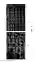 Fig. 03 - Method for predicting sepsis or an acute infectious inflammatory response