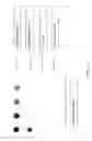 Fig. 11 - Method for predicting sepsis or an acute infectious inflammatory response