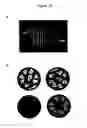 Fig. 22 - Miniaturized cell array methods and apparatus for cell-based screening
