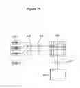 Fig. 33 - Miniaturized cell array methods and apparatus for cell-based screening