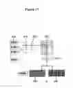 Fig. 35 - Miniaturized cell array methods and apparatus for cell-based screening