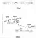 Fig. 02 - Substrates and methods for assaying deubiquitinating enzymes