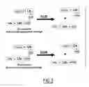 Fig. 03 - Substrates and methods for assaying deubiquitinating enzymes