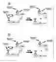 Fig. 04 - Substrates and methods for assaying deubiquitinating enzymes