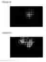 Fig. 05 - Method for rapid detection and evaluation of cultured cell growth