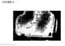 Fig. 06 - Method for rapid detection and evaluation of cultured cell growth