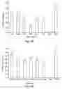 Fig. 07 - Expanding the eukaryotic genetic code