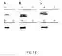 Fig. 22 - Expanding the eukaryotic genetic code