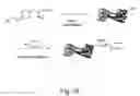 Fig. 28 - Expanding the eukaryotic genetic code