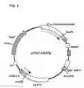 Fig. 09 - Antibodies that bind to a member of the IL-6/G-CSF/MGF family