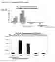 Fig. 03 - Immunogenic substances comprising a polyinosinic acid-polycytidilic acid based adjuvant