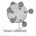 Fig. 01 - METHODS AND COMPOSITIONS FOR DETECTING ENZYMATIC ACTIVITY