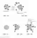 Fig. 02 - METHODS AND COMPOSITIONS FOR DETECTING ENZYMATIC ACTIVITY