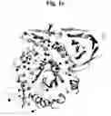 Fig. 05 - Partially deglycosylated glucocerebrosidase polypeptide and crystals thereof