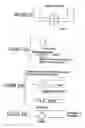 Fig. 12 - Assay device that analyzes the absorption, metabolism, permeability and/or toxicity of a candidate compound