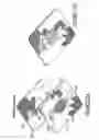Fig. 18 - Assay device that analyzes the absorption, metabolism, permeability and/or toxicity of a candidate compound