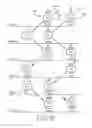 Fig. 10 - APPARATUS AND METHOD FOR HARVESTING AND HANDLING TISSUE SAMPLES FOR BIOPSY ANALYSIS