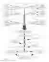 Fig. 02 - MULTIPLEX ASSAYS USING MAGNETIC AND NON-MAGNETIC PARTICLES