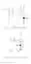 Fig. 02 - Method for driving pixels of an organic light emitting display