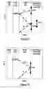 Fig. 06 - ALD gate electrode