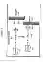 Fig. 05 - Substrate processing including a masking layer