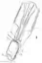 Fig. 07 - Swim fin with adjustable web