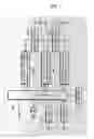 Fig. 03 - Mobile phone for controlling diversity