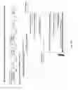Fig. 19 - Network-based system for rerouting phone calls from phone networks to VoIP clients for roamers and subscribers who do not answer