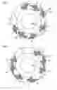 Fig. 04 - Folding apparatus for collect operation