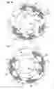 Fig. 05 - Folding apparatus for collect operation