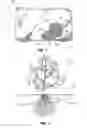 Fig. 02 - Biodegradable bag containing superabsorbent polymers