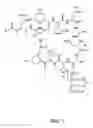 Fig. 02 - Dabderivatives of lipopeptide antibiotics and methods of making and using the same